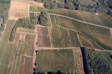 Fara Novarese - Colline e Vigneti