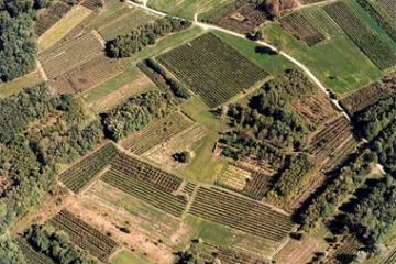 Fara Novarese - Colline e Vigneti